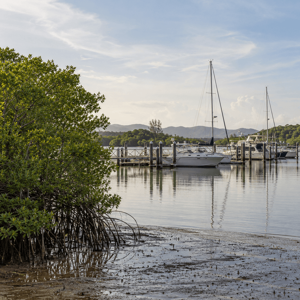 Eastern waterfront and mangrove landscape in Ko Kaew, Phuket