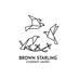 Brown Starling property in PhuketBrown Starling Co., Ltd. logo